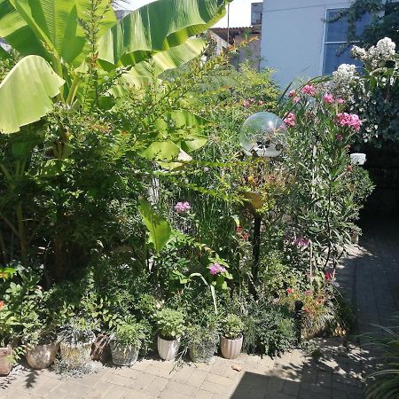 Magnoliia Hotel Sukhumi Ngoại thất bức ảnh