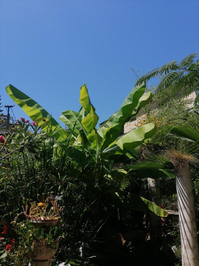 Magnoliia Hotel Sukhumi Ngoại thất bức ảnh
