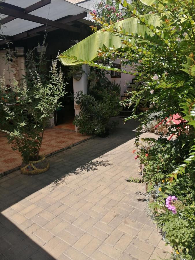 Magnoliia Hotel Sukhumi Ngoại thất bức ảnh