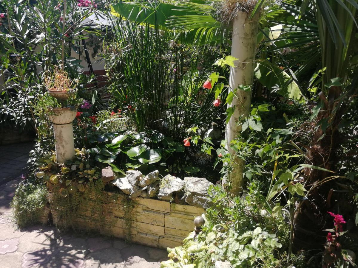 Magnoliia Hotel Sukhumi Ngoại thất bức ảnh
