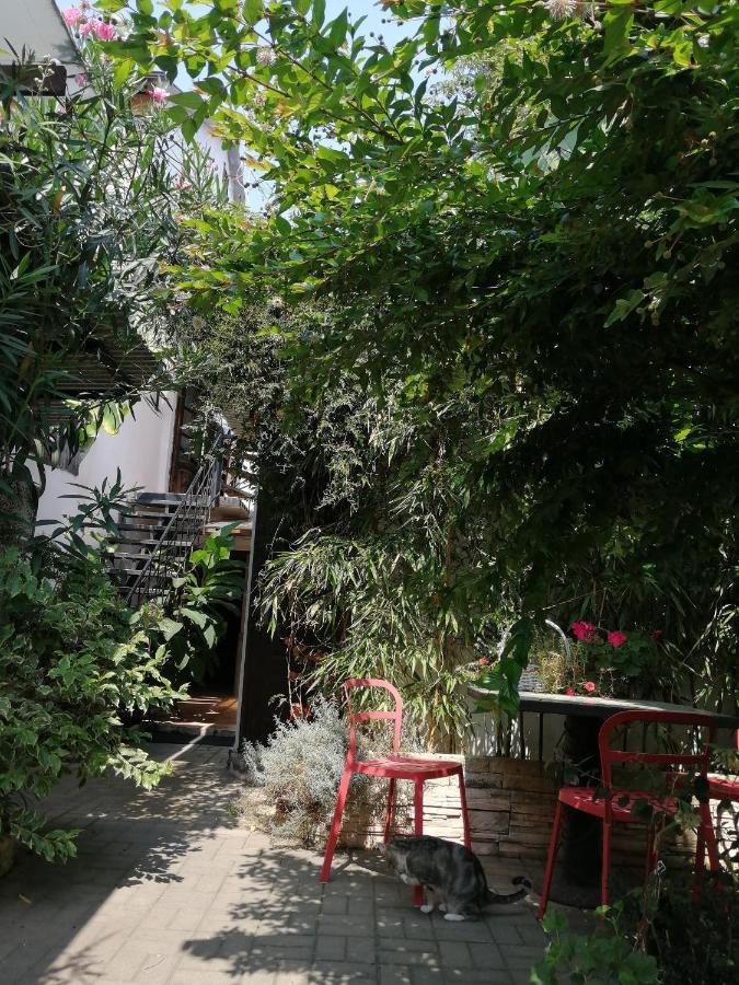 Magnoliia Hotel Sukhumi Ngoại thất bức ảnh