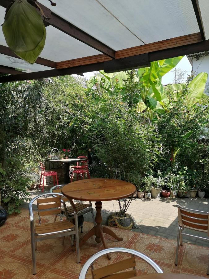 Magnoliia Hotel Sukhumi Ngoại thất bức ảnh