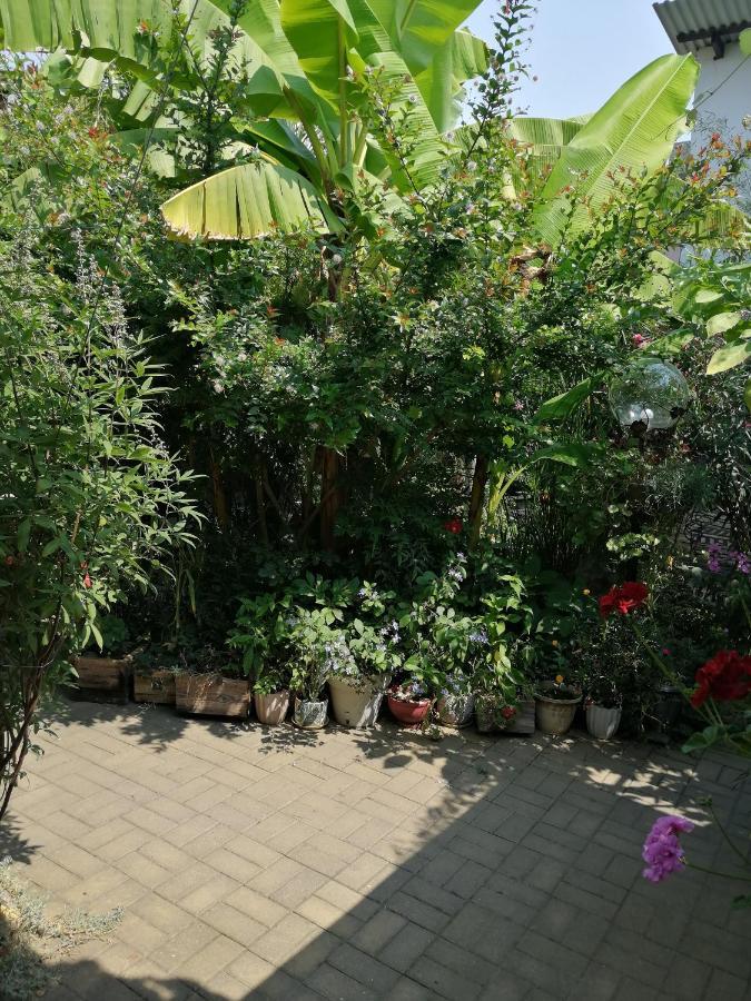 Magnoliia Hotel Sukhumi Ngoại thất bức ảnh