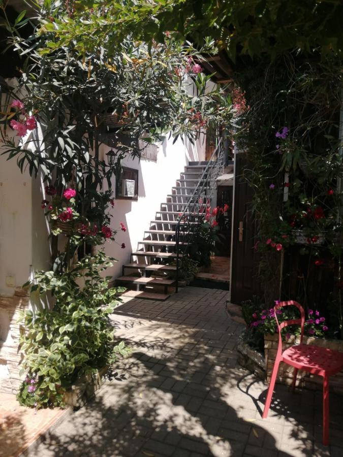 Magnoliia Hotel Sukhumi Ngoại thất bức ảnh