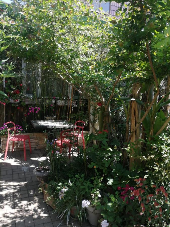 Magnoliia Hotel Sukhumi Ngoại thất bức ảnh